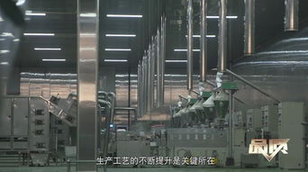 素之美味，海納百川 生物科技如何重塑未來飲食品質